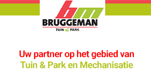 Logo-Bruggeman-mechanisatie