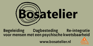 logo-Bosatelier