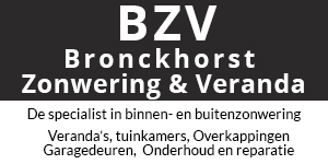 Logo-Banner-BZV