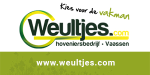Logo-Banner-Weultjes